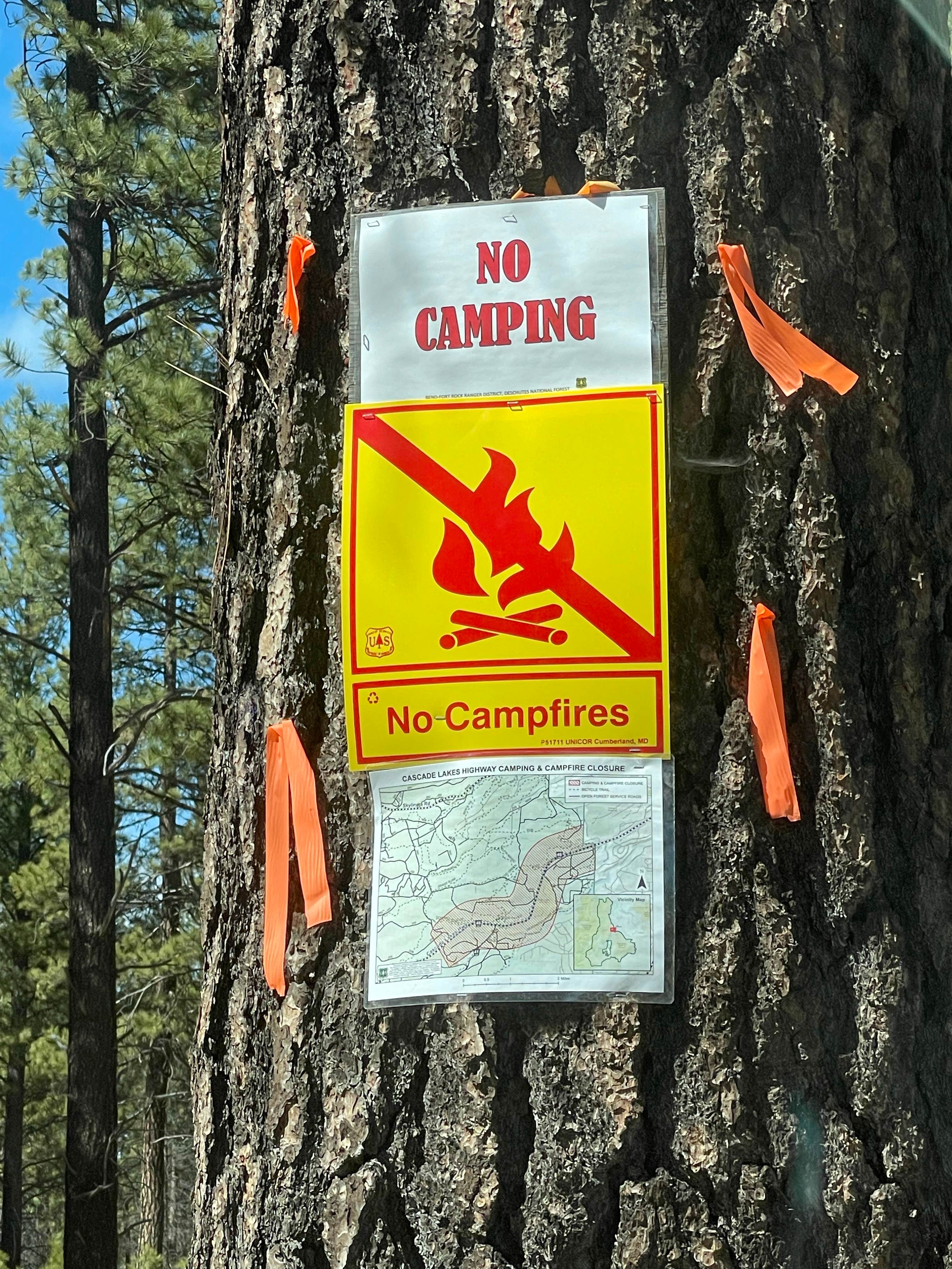 Camper submitted image from Deschutes Forest NFD 4600-120 Dispersed Camping - 5