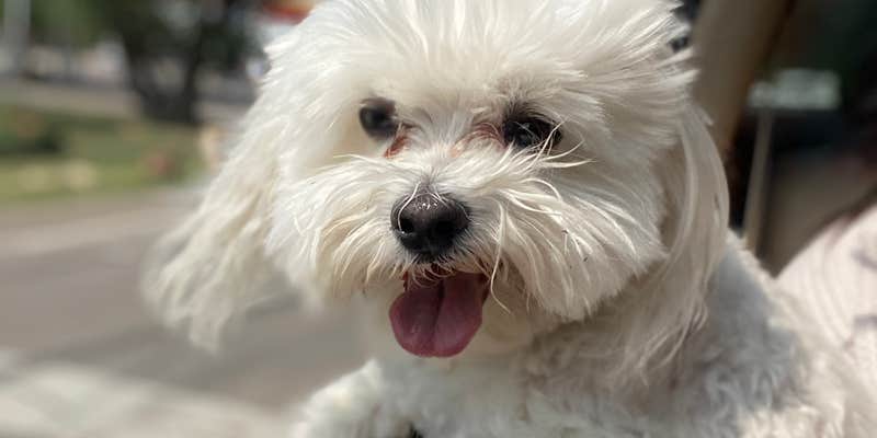 Camper submitted image from Eagle Creek RV Resort