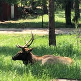 Review photo of Eagle Creek RV Resort by Melissa H., April 10, 2021