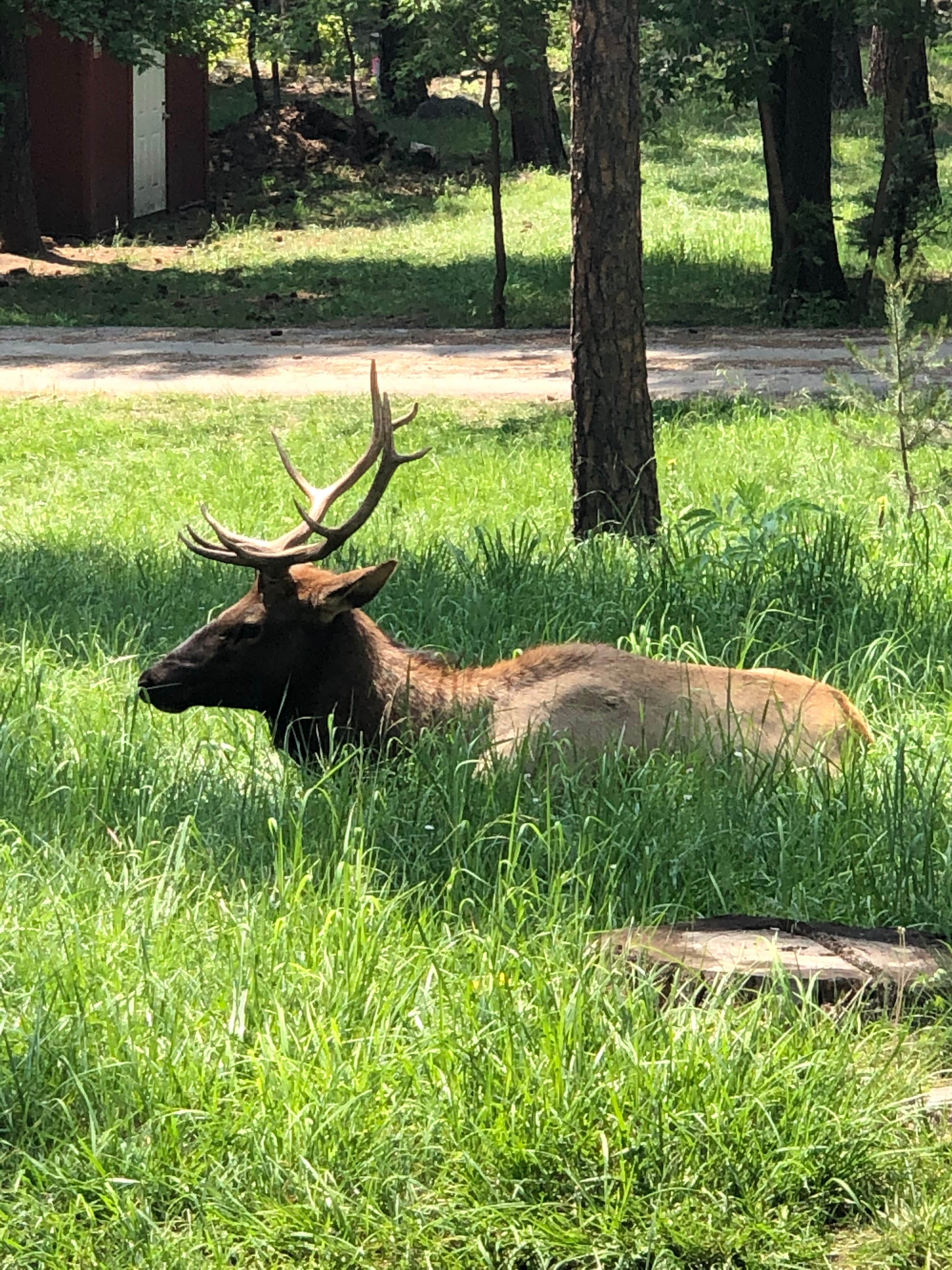 Nature