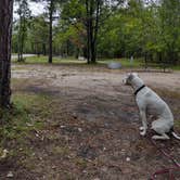 Review photo of Clear Lake State Park Campground by Lemae H., April 10, 2021