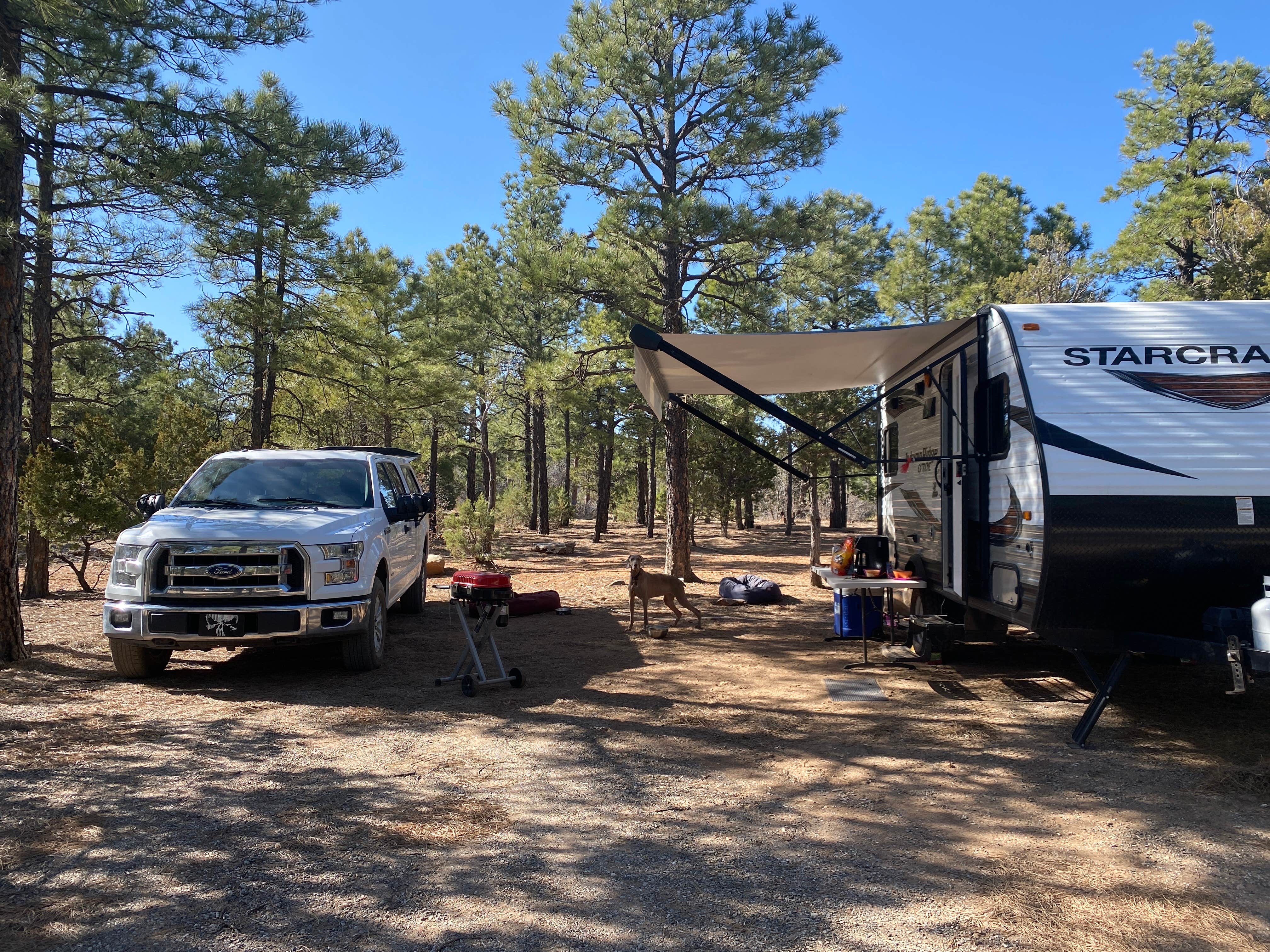 Camper submitted image from Manzano Mountains State Park Campground - 5