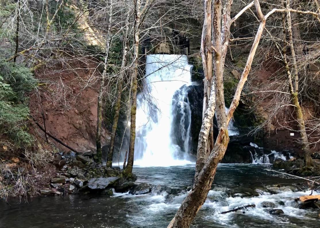 Jenkinson Campground—Sly Park Recreation Area Camping The Dyrt