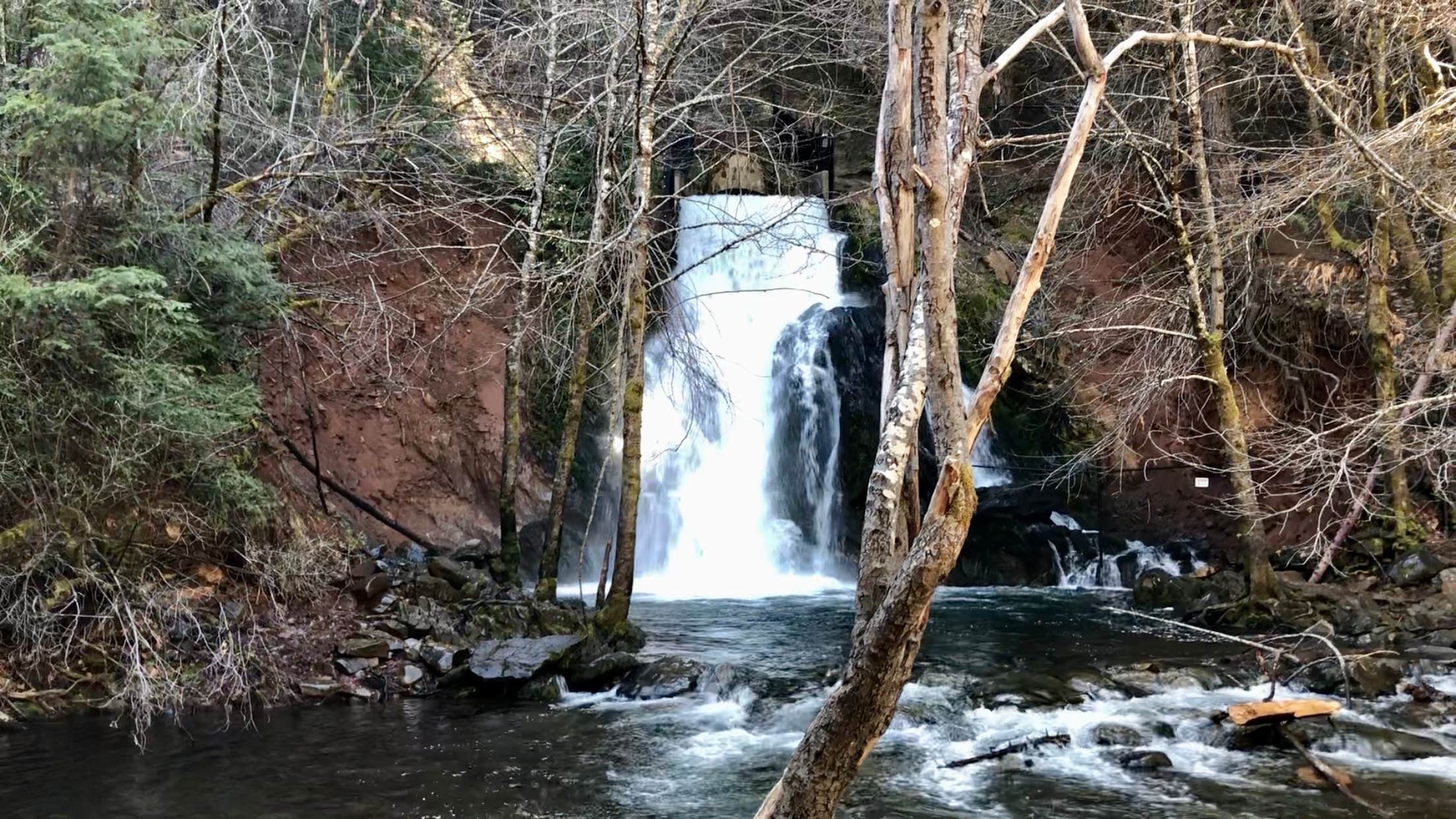 Camper submitted image from Jenkinson Campground—Sly Park Recreation Area - 1