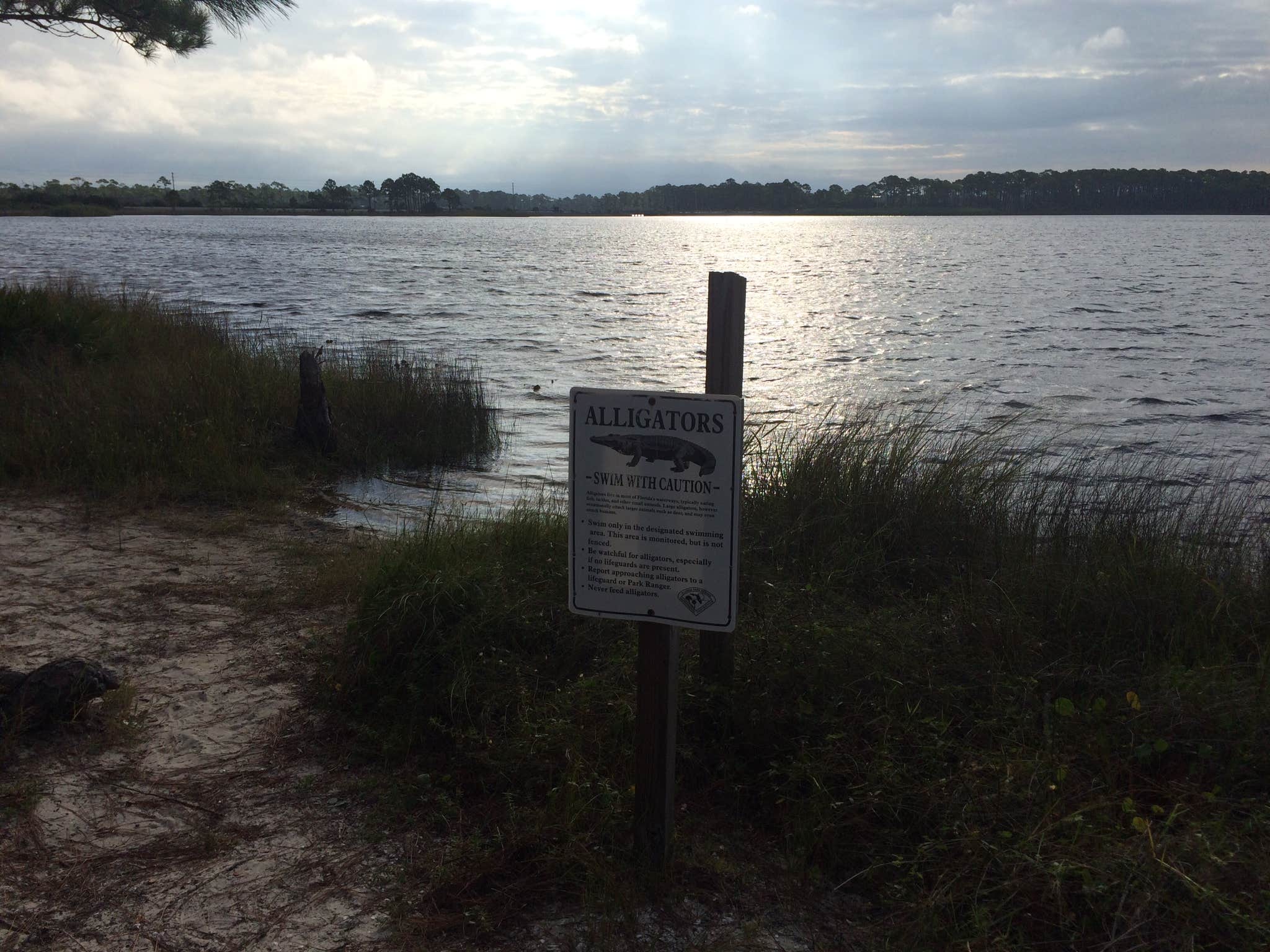 Camper submitted image from Grayton Beach State Park Campground - 3