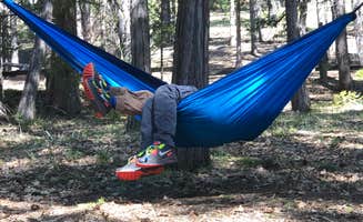 Syd D.'s photo of tent camping at Jenkinson Campground—Sly Park Recreation Area near Sutter Creek, CA