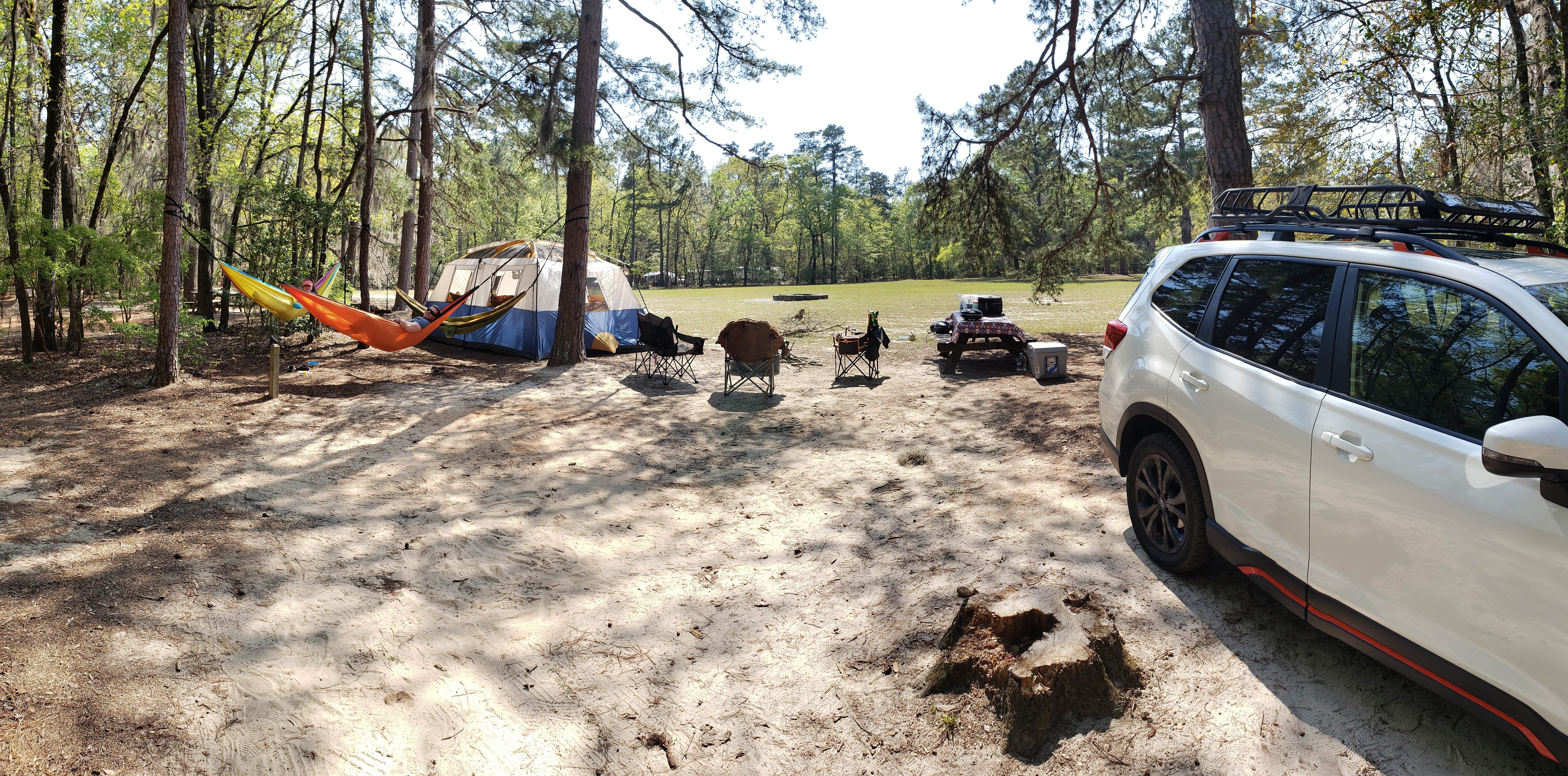 Jennifer R.'s photo at Poinsett State Park Campground near St. Matthews, SC