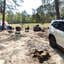 Review photo of Poinsett State Park Campground by Jennifer R., April 11, 2021