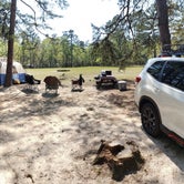 Review photo of Poinsett State Park Campground by Jennifer R., April 11, 2021