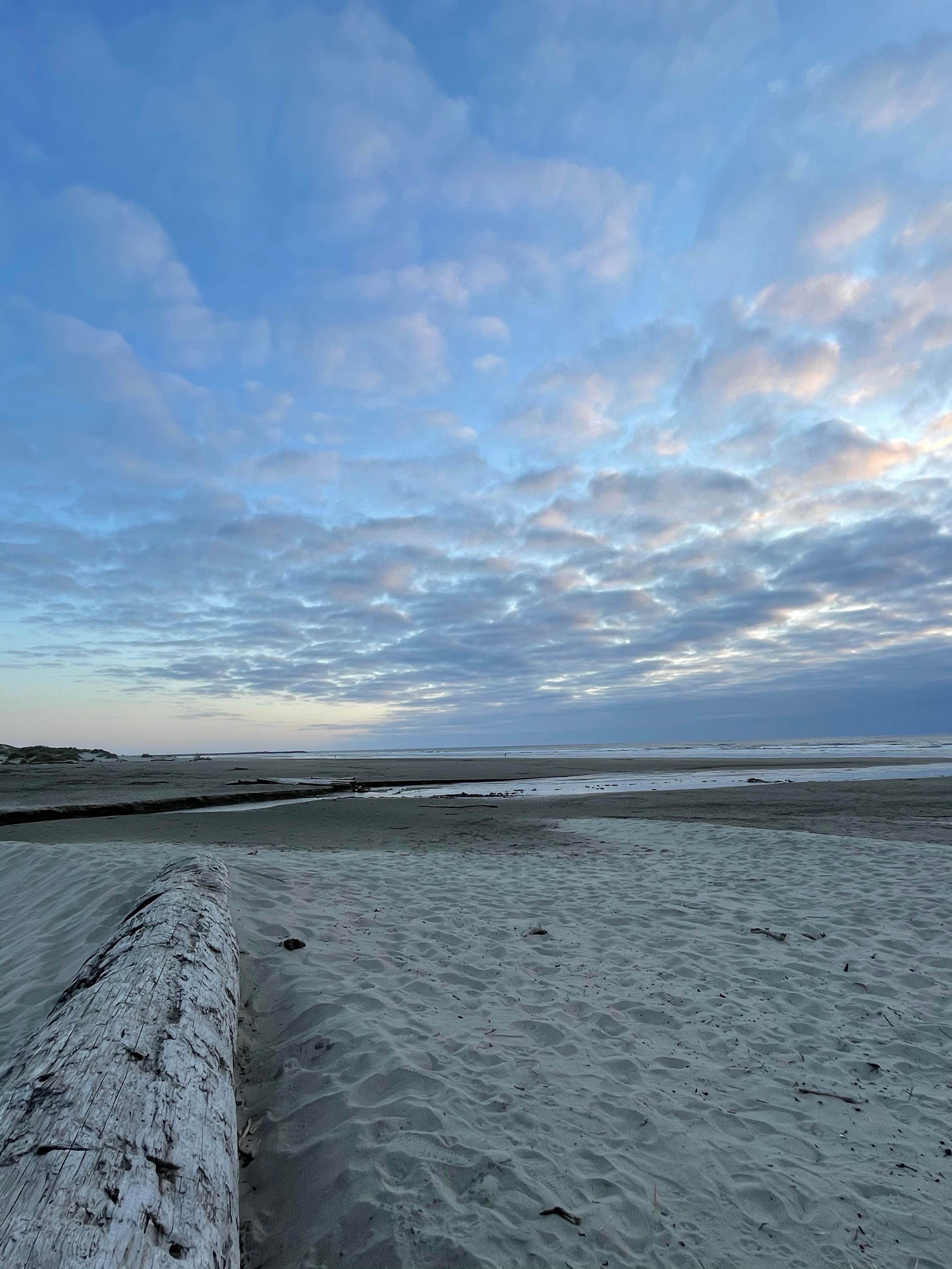 Camper-submitted photo at Heceta Beach RV Park near Yachats, OR