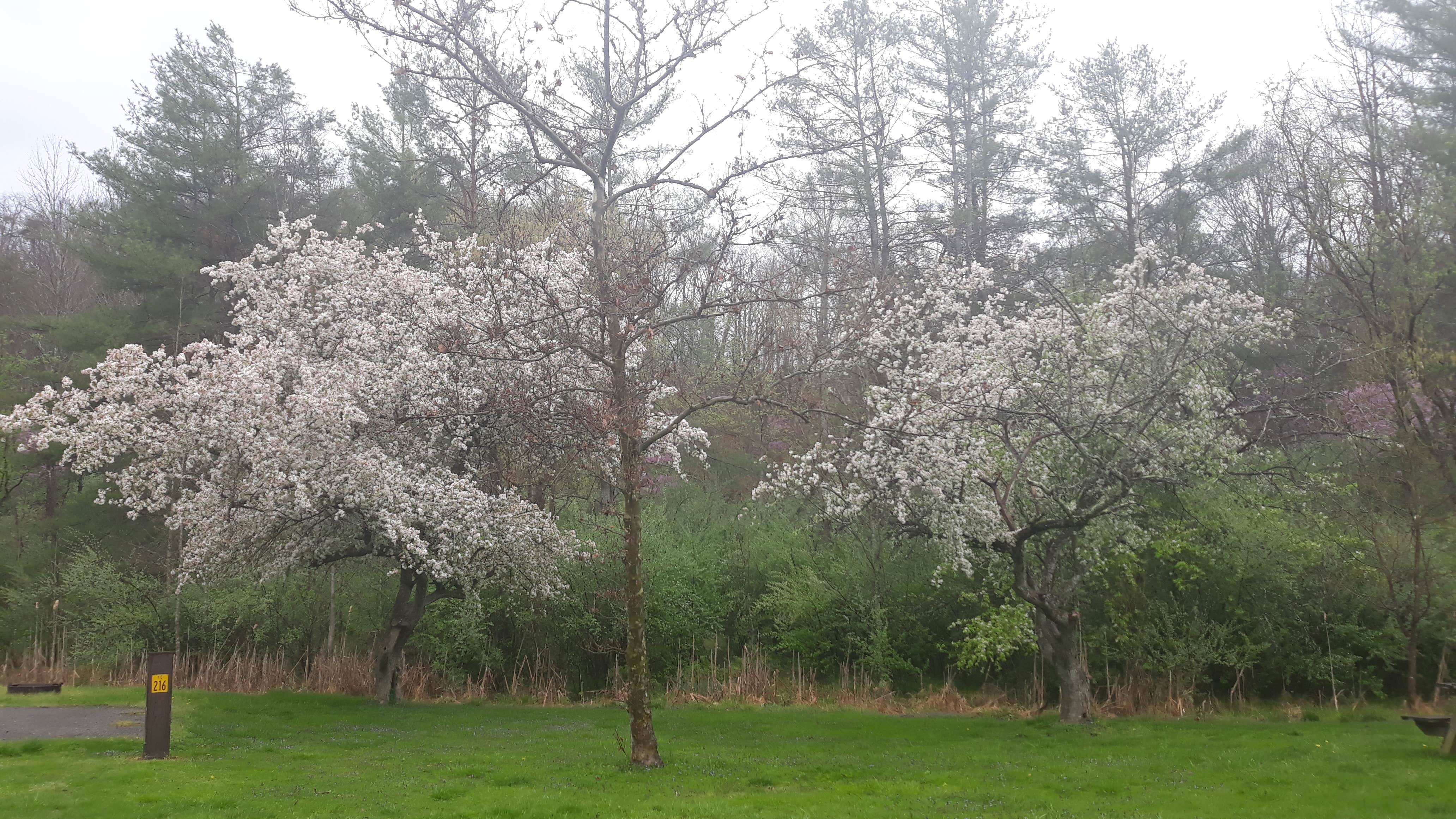 Camper-submitted photo at Beach Fork Lake Lower Bowen near Dunlow, WV