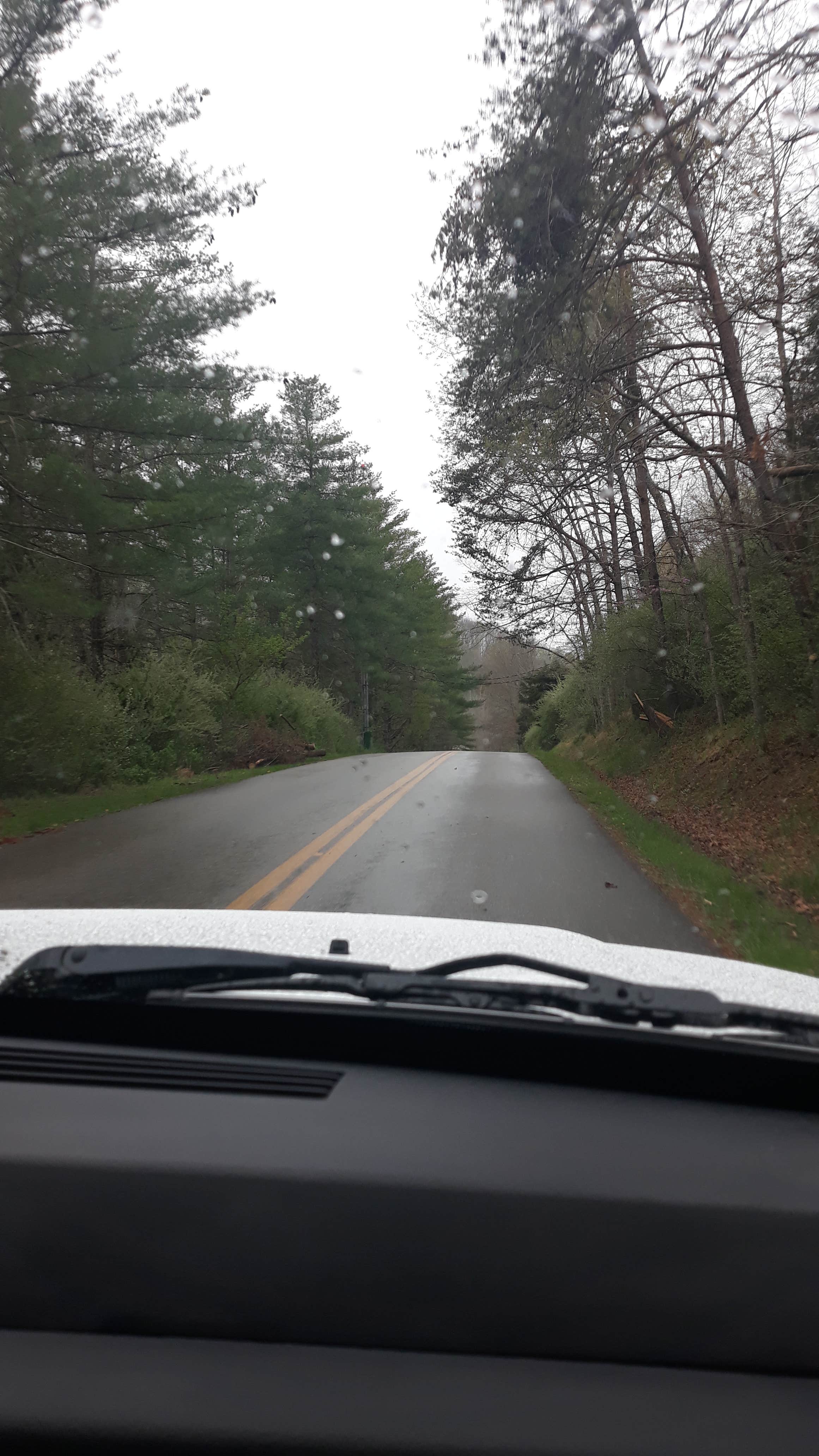 Camper-submitted photo at Beach Fork Lake Lower Bowen near Dunlow, WV