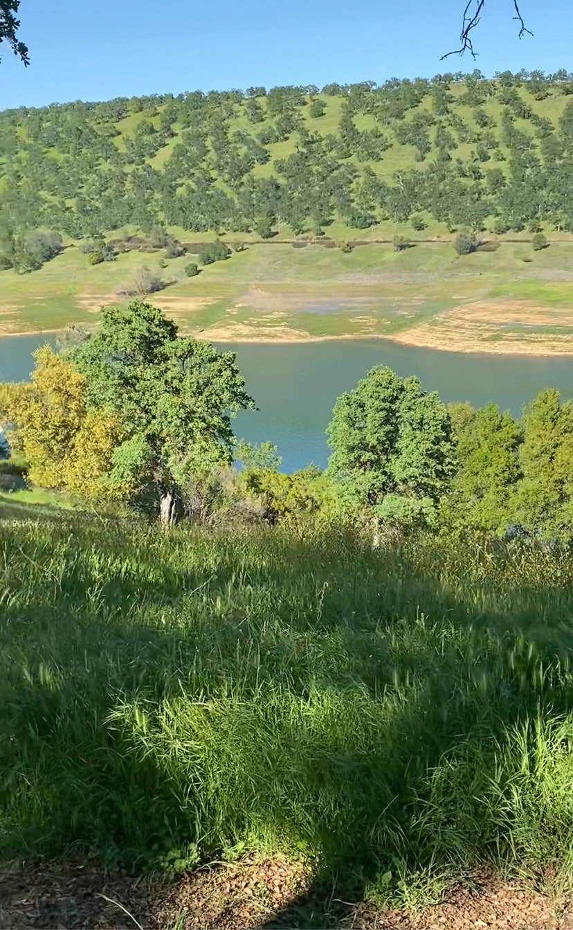 Camper submitted image from Glory Hole Recreation Area - 3