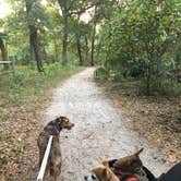 Review photo of Silver Springs State Park Campground by Suzy R., April 11, 2021