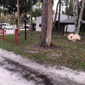 Review photo of Christmas RV Park by Suzy R., April 11, 2021