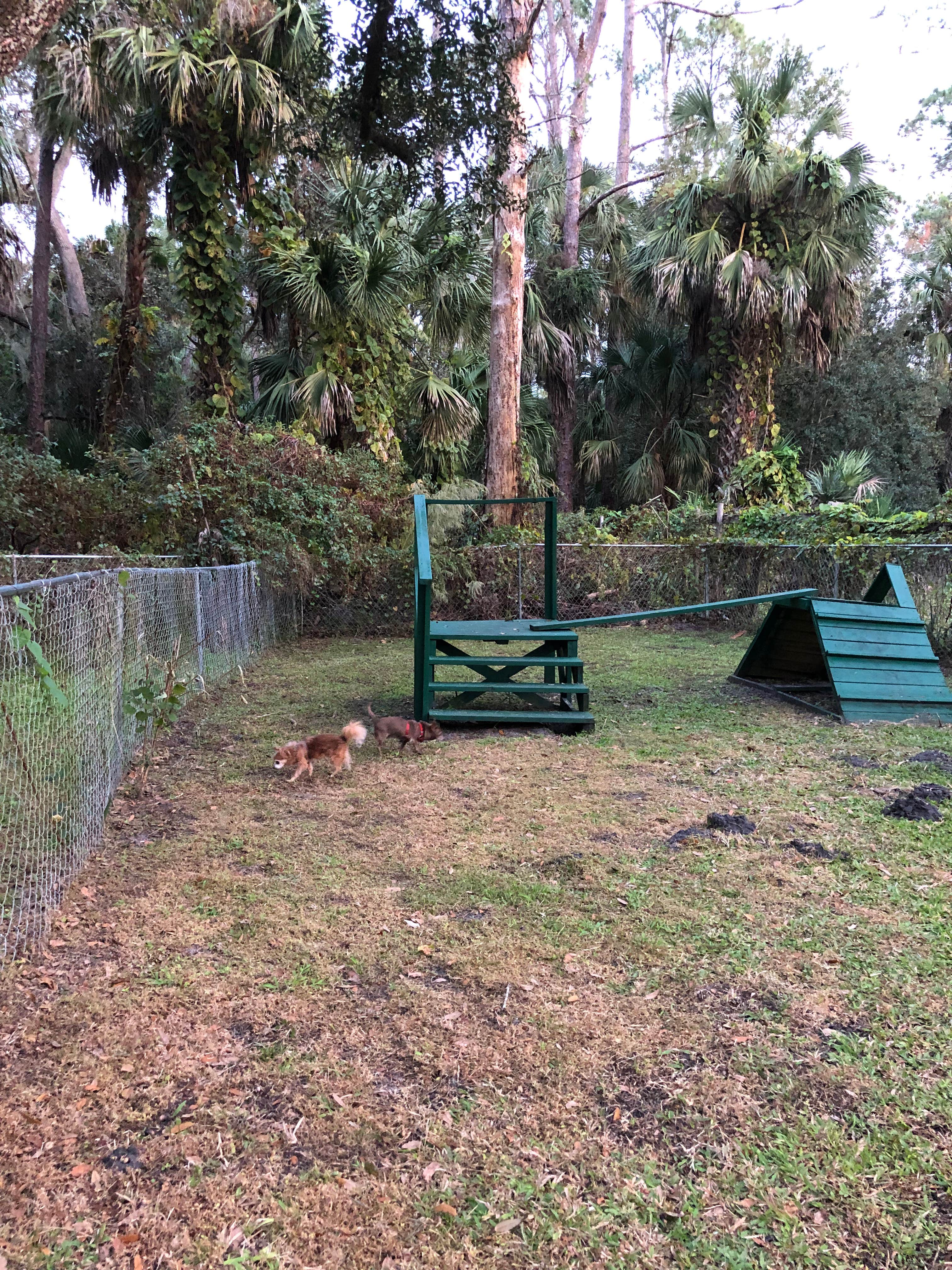 Camper-submitted photo at Christmas RV Park near Titusville, FL