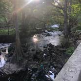 Review photo of Hillsborough River State Park Campground by Suzy R., April 11, 2021