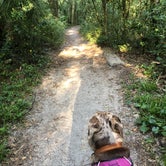 Review photo of Hillsborough River State Park Campground by Suzy R., April 11, 2021