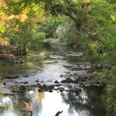 Review photo of Hillsborough River State Park Campground by Suzy R., April 11, 2021