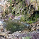 Review photo of Colorado Bend State Park Campground by Price T., April 11, 2021