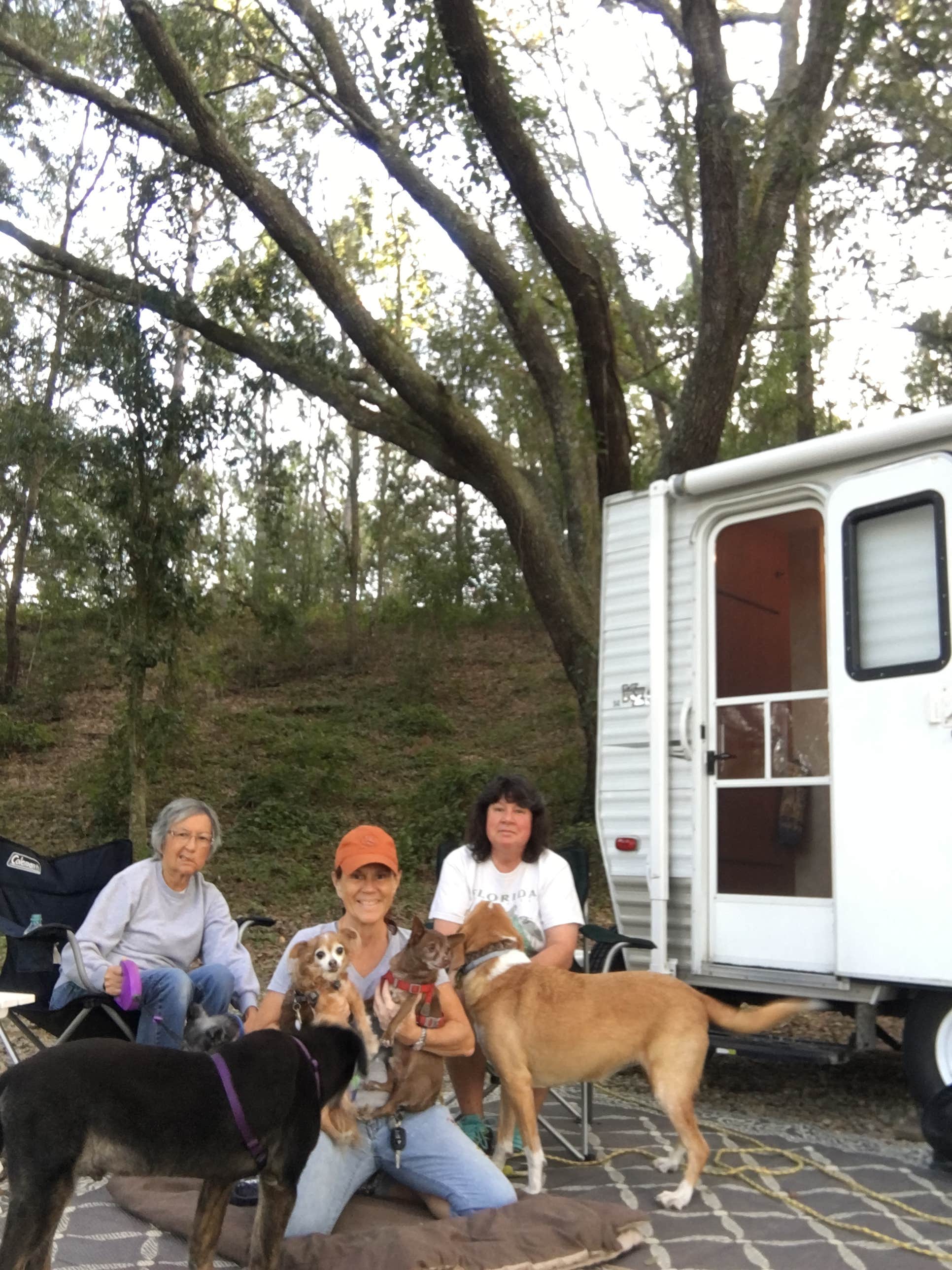 Suzy R.'s photo of camping with pets at Rodman Campground near Ocala National Forest