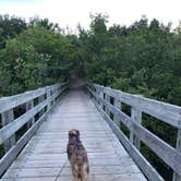 Review photo of Long Point Park Campground by Suzy R., April 11, 2021