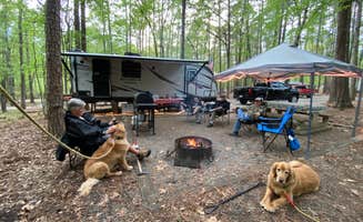 Liz H.'s photo at Franklin D Roosevelt State Park Campground near Wildwood, GA
