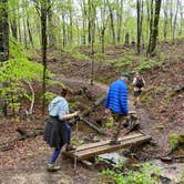 Review photo of Franklin D Roosevelt State Park Campground by Liz H., April 11, 2021