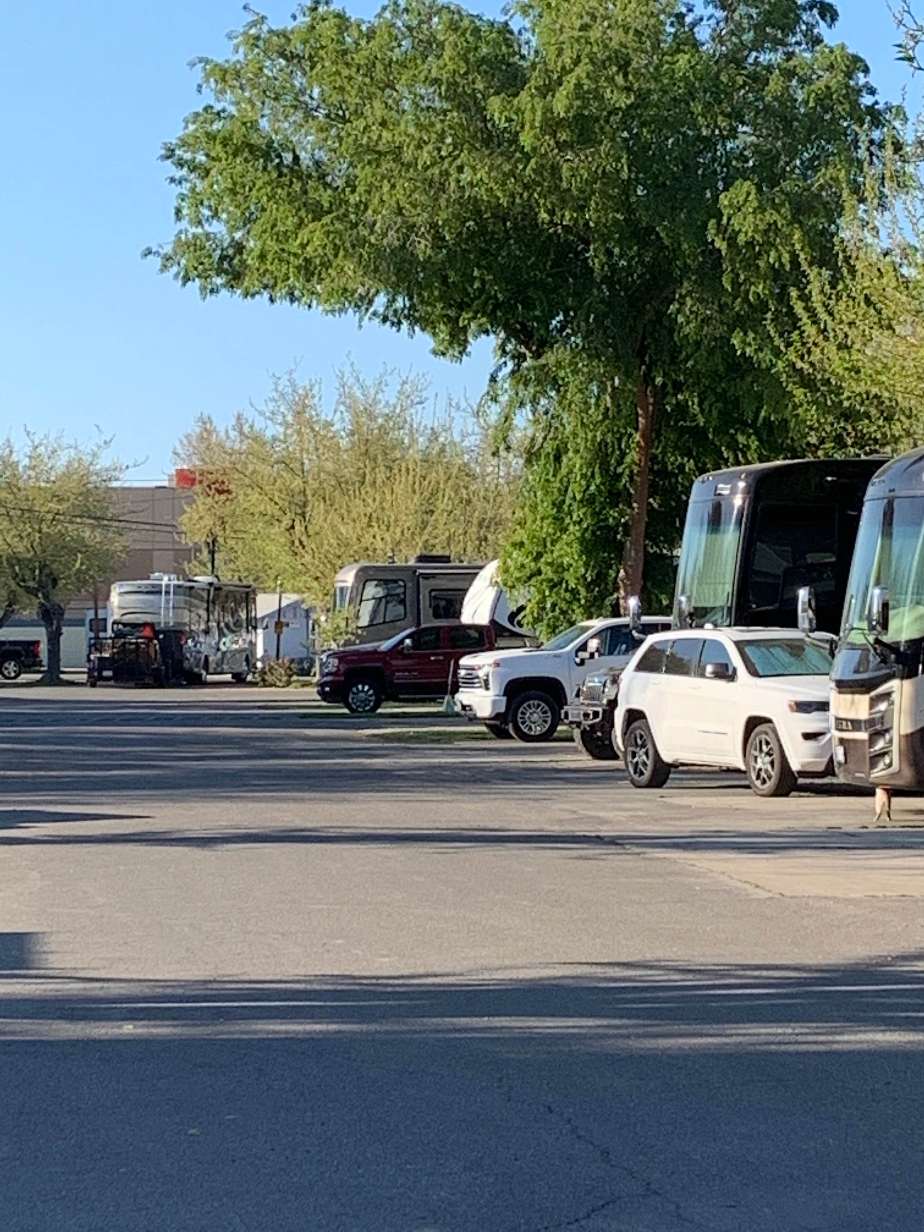 Camper-submitted photo at Blackstone North RV Park near Biola, CA