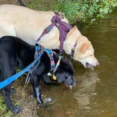 Review photo of Cane Creek Park by Emily B., April 11, 2021