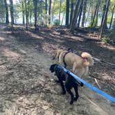 Review photo of Cane Creek Park by Emily B., April 11, 2021
