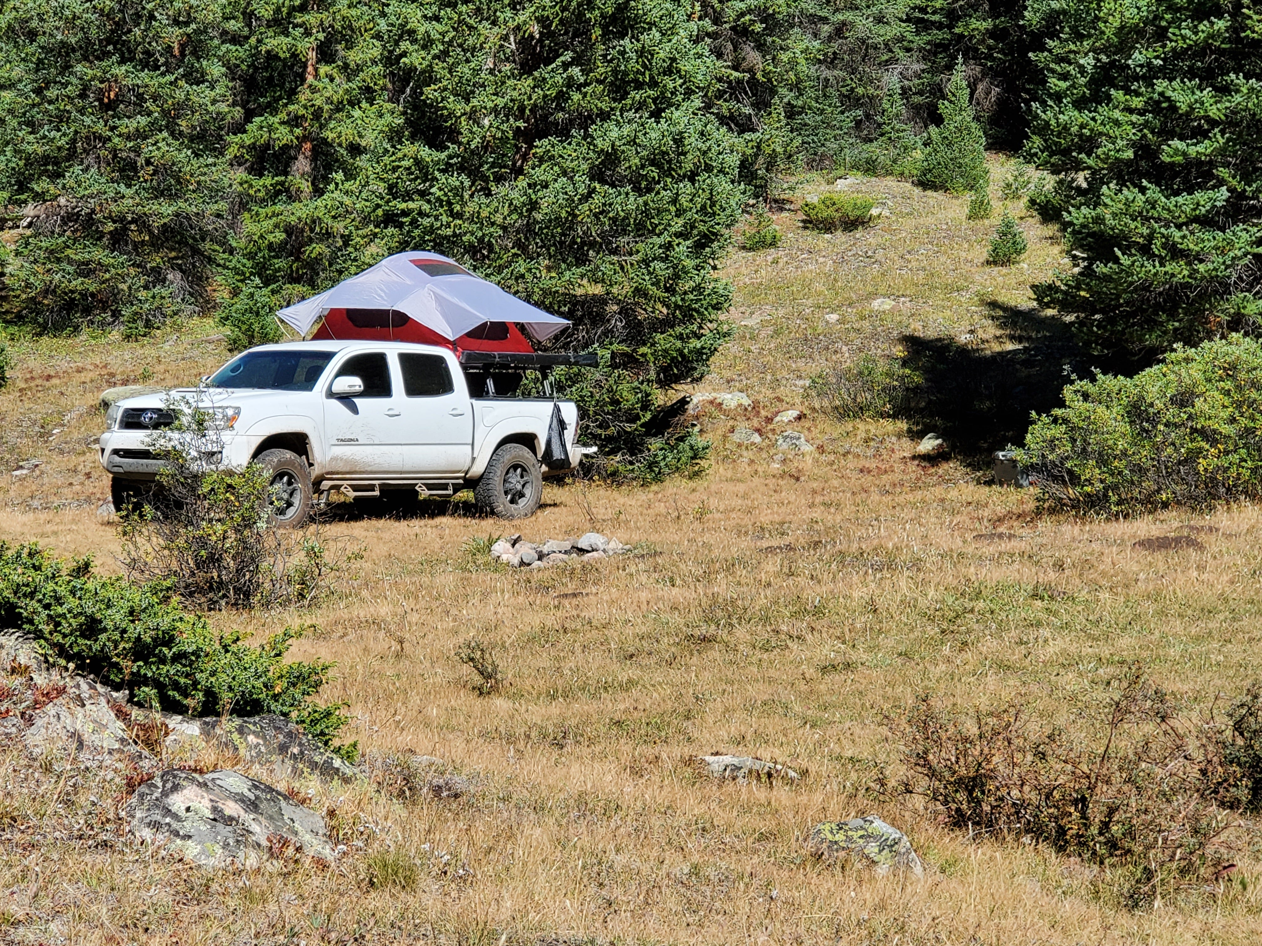Camper submitted image from Lincoln Creek Dispersed Campground - 1