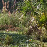 Review photo of Hunting Island State Park Campground by Emily B., April 11, 2021