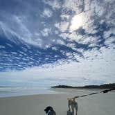 Review photo of Hunting Island State Park Campground by Emily B., April 11, 2021