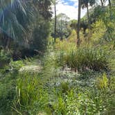 Review photo of Hunting Island State Park Campground by Emily B., April 11, 2021