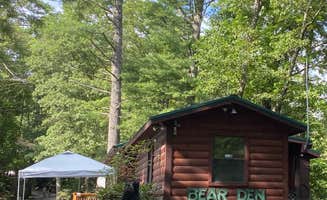 Emily B.'s photo of a cabin at Spacious Skies Bear Den near Pisgah National Forest