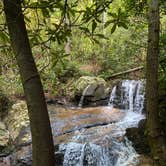 Review photo of Spacious Skies Bear Den by Emily B., April 11, 2021