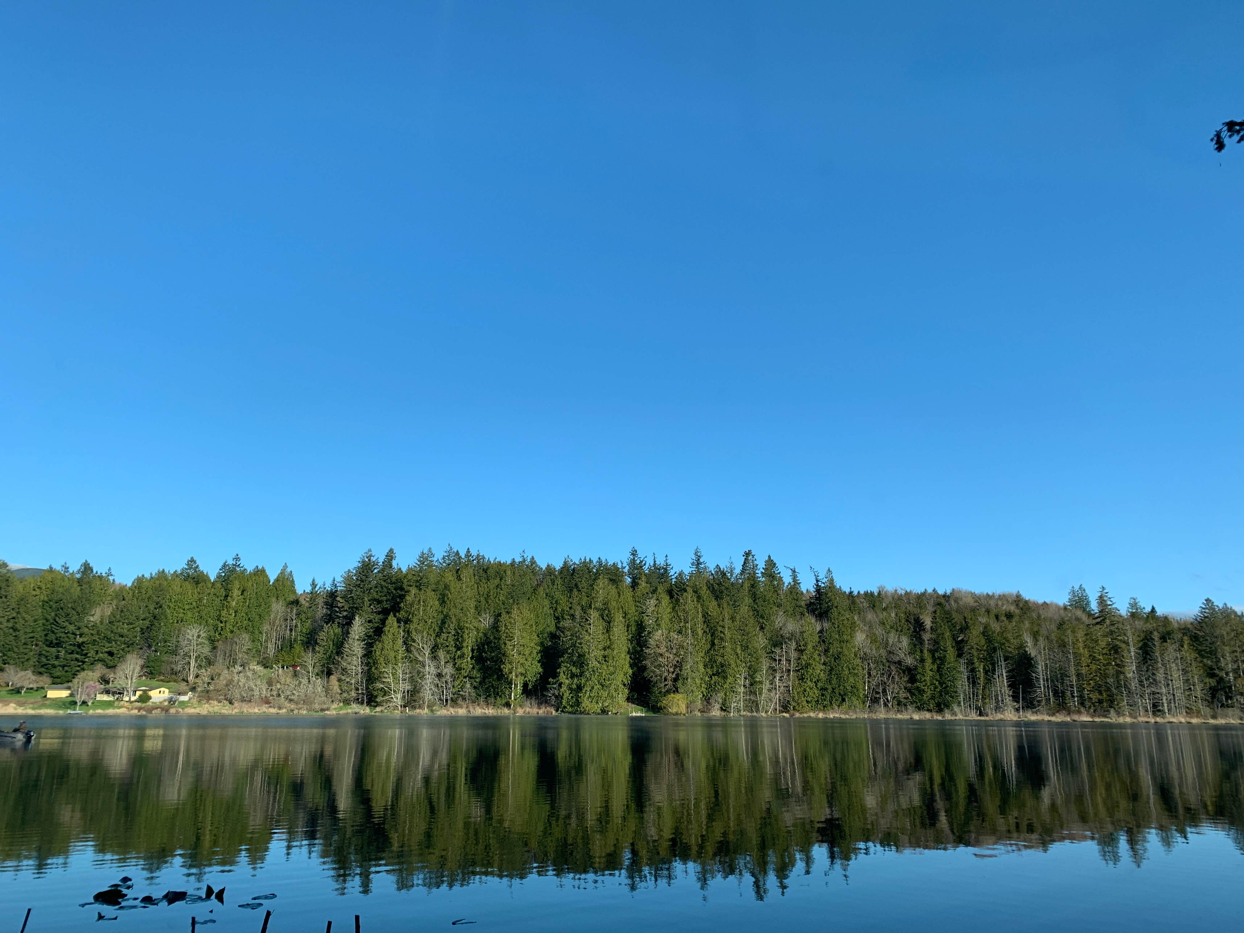 Camping near Falls View Campground - CLOSED UNTIL FURTHER NOTICE 3.4.21: Lake Leland Campground, Quilcene, Washington