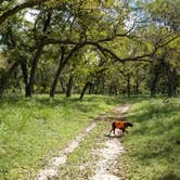 Review photo of South Llano River State Park Campground by Price T., April 11, 2021