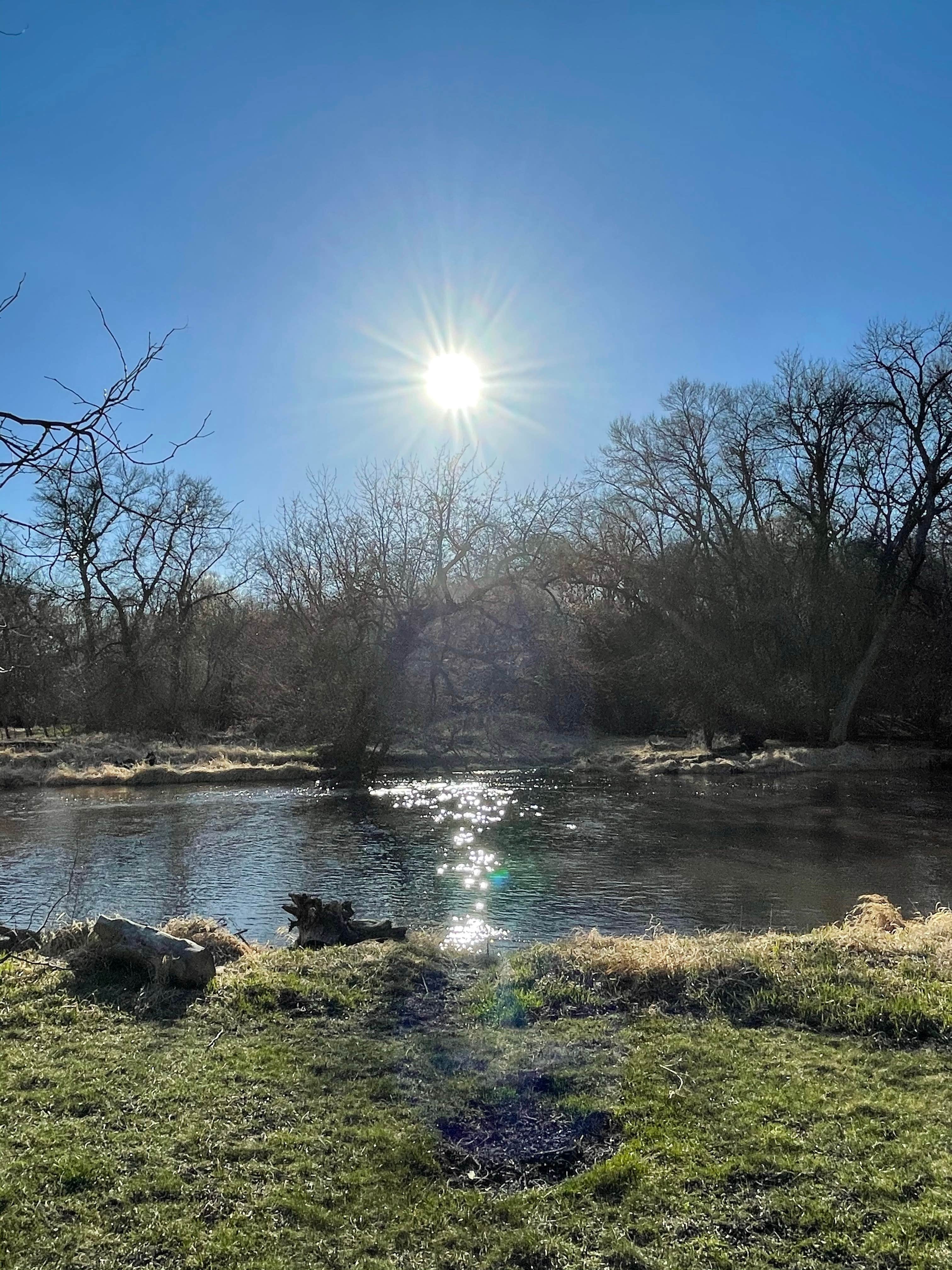 Camper submitted image from Pomme De Terre Campground - 1