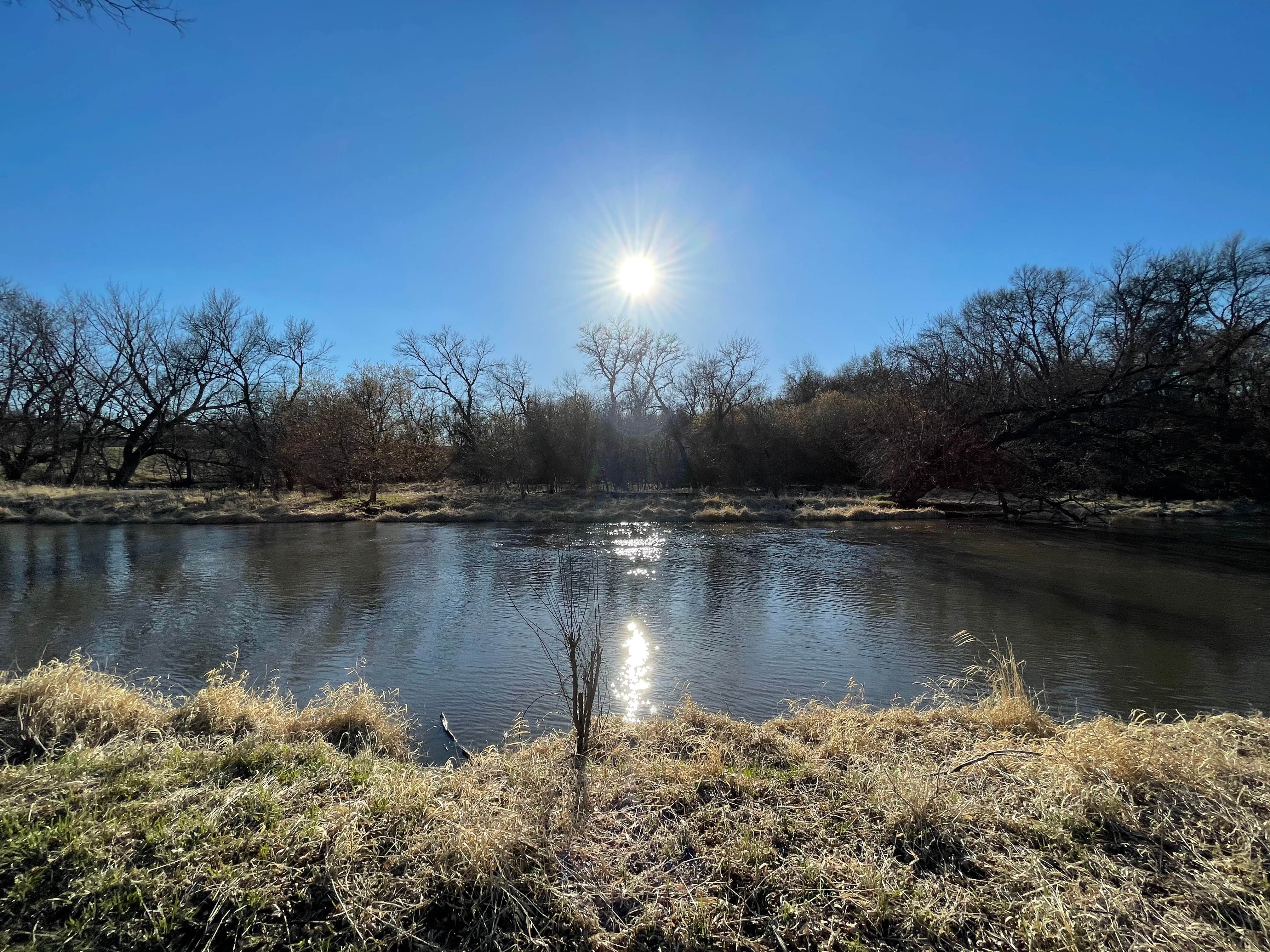 Camper submitted image from Pomme De Terre Campground - 3