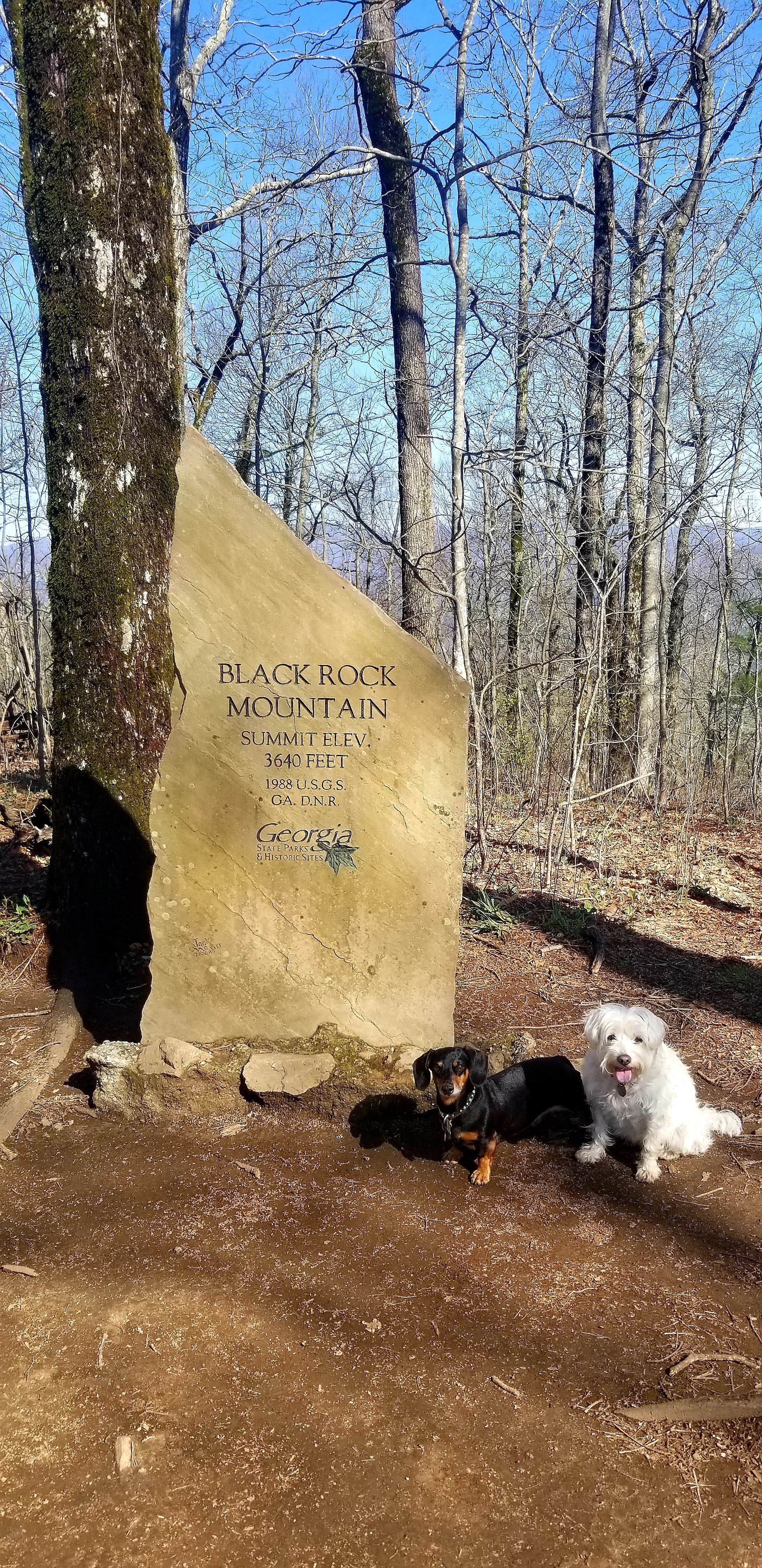Katrin M.'s photo of camping with pets at Black Rock Mountain State Park Campground near Sautee Nacoochee, GA
