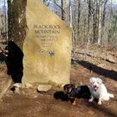 Review photo of Black Rock Mountain State Park Campground by Katrin M., April 11, 2021