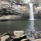 Review photo of Foster Falls Campground — South Cumberland State Park by Linette G., May 22, 2018