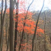 Review photo of Foster Falls Campground — South Cumberland State Park by Linette G., May 22, 2018