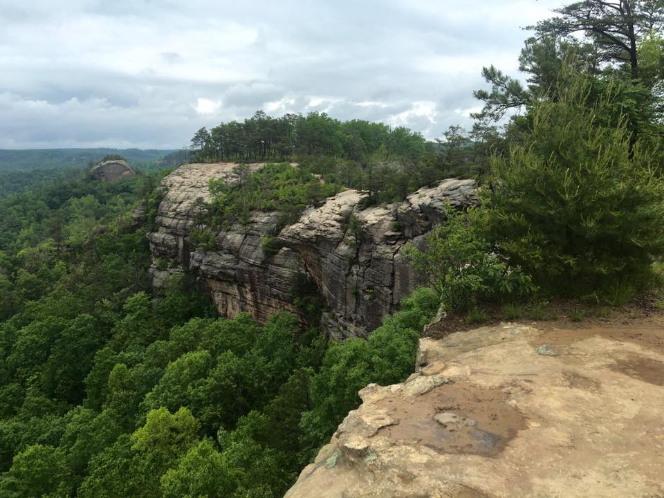 Camper submitted image from Red River Gorge Campground - 2