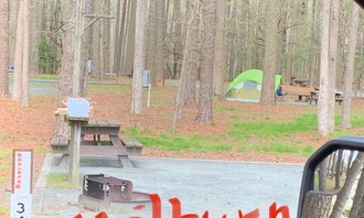 Camping near Roaring Point Waterfront Campground : Milburn Landing Campground, Girdletree, Maryland