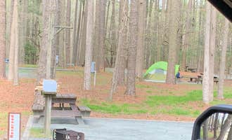 Camping near Tom's Cove Park: Milburn Landing Campground, Girdletree, Maryland