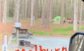 Laure D.'s photo at Milburn Landing Campground near Girdletree, MD