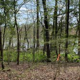 Review photo of Milburn Landing Campground by Laure D., April 11, 2021